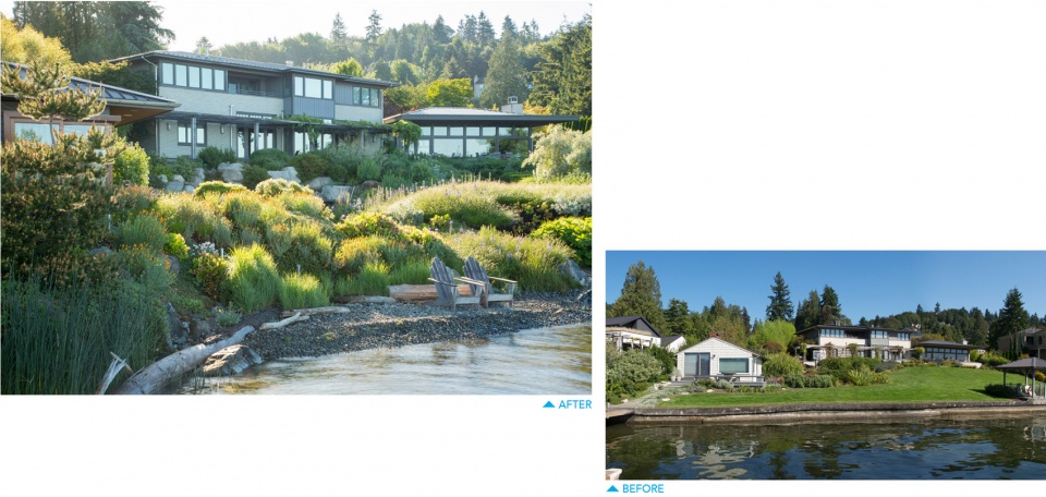 2020 asla residential design award of honor a shoreline re imagined broadhurst associates