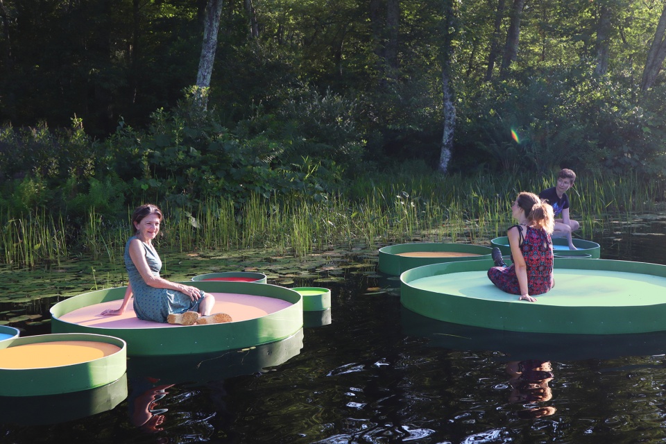 the lily project by jaemee studio