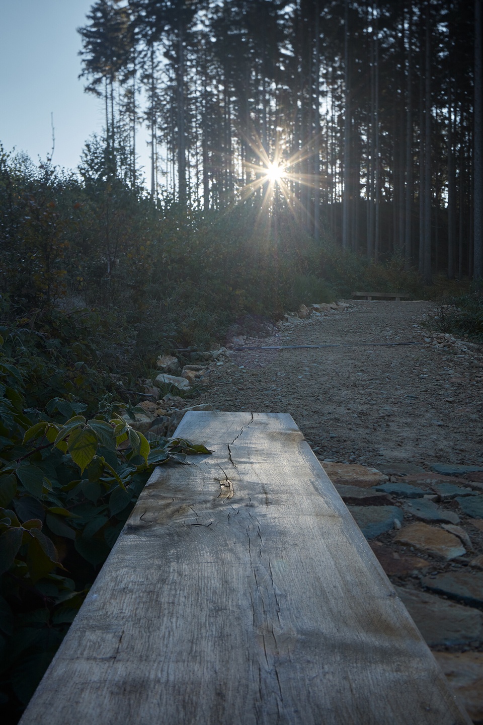 walk over the quarry by henkai architects