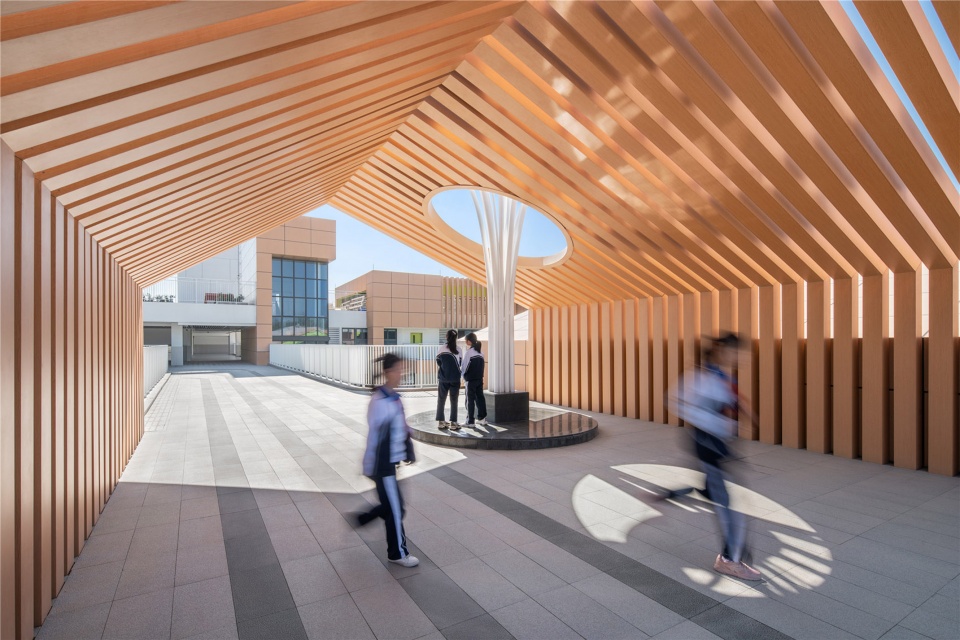 eastern greater bay area experimental school by cmad architects