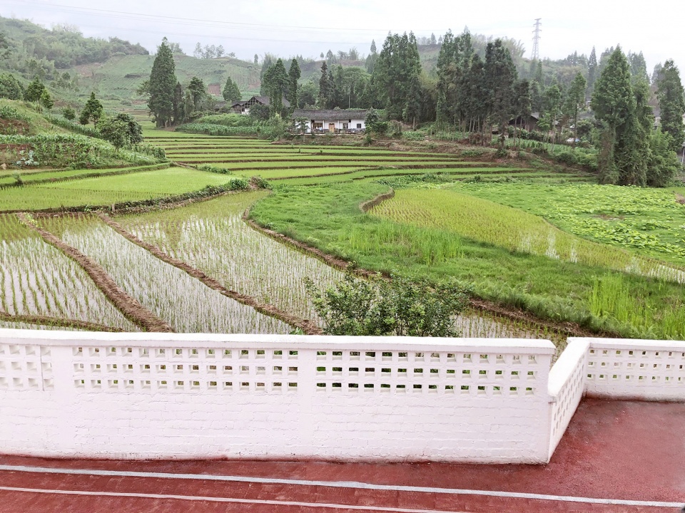 daping village kindergarten china by atelier y