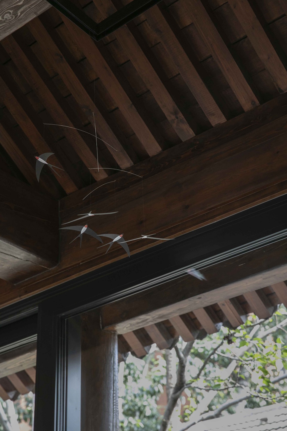 shiyuan by days in yard workshop