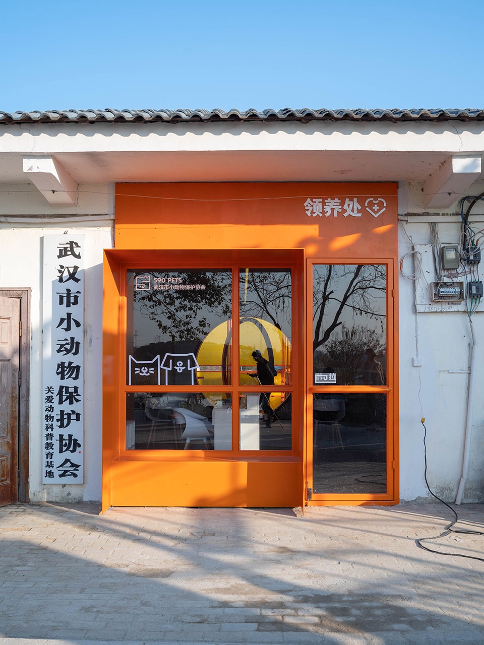 Wuhan stray animal base adoption area UAO
