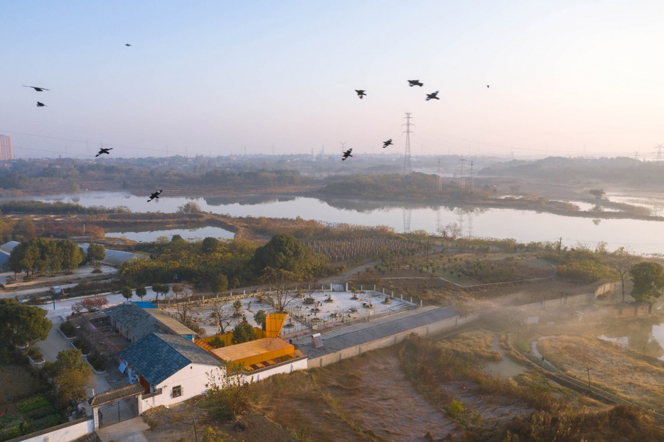 Wuhan stray animal base adoption area UAO