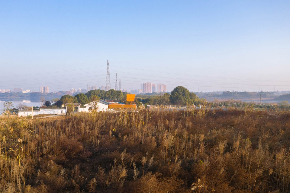 Wuhan stray animal base adoption area UAO