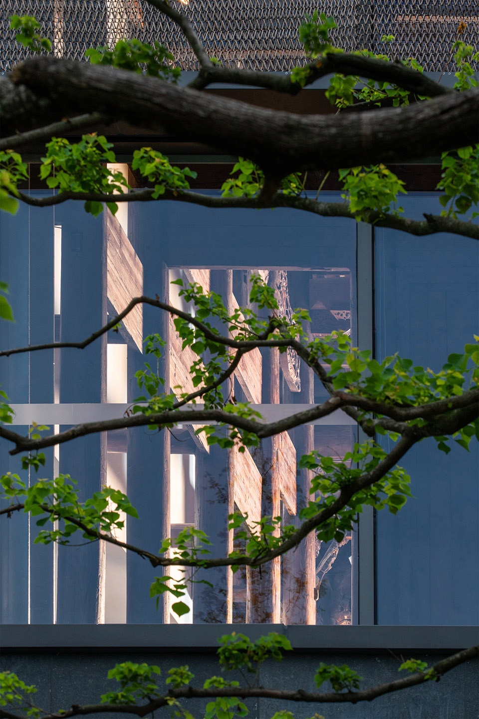 WenZhou Academy AAI LifeWay studio