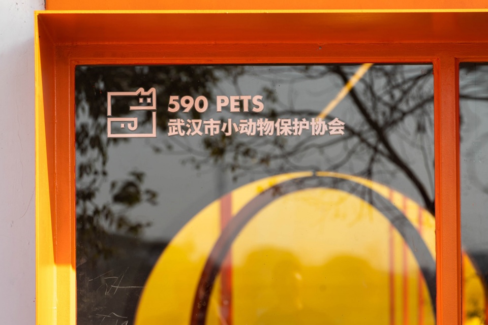 Wuhan stray animal base adoption area UAO
