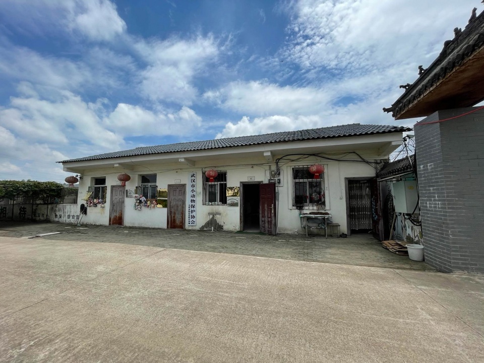 Wuhan stray animal base adoption area UAO