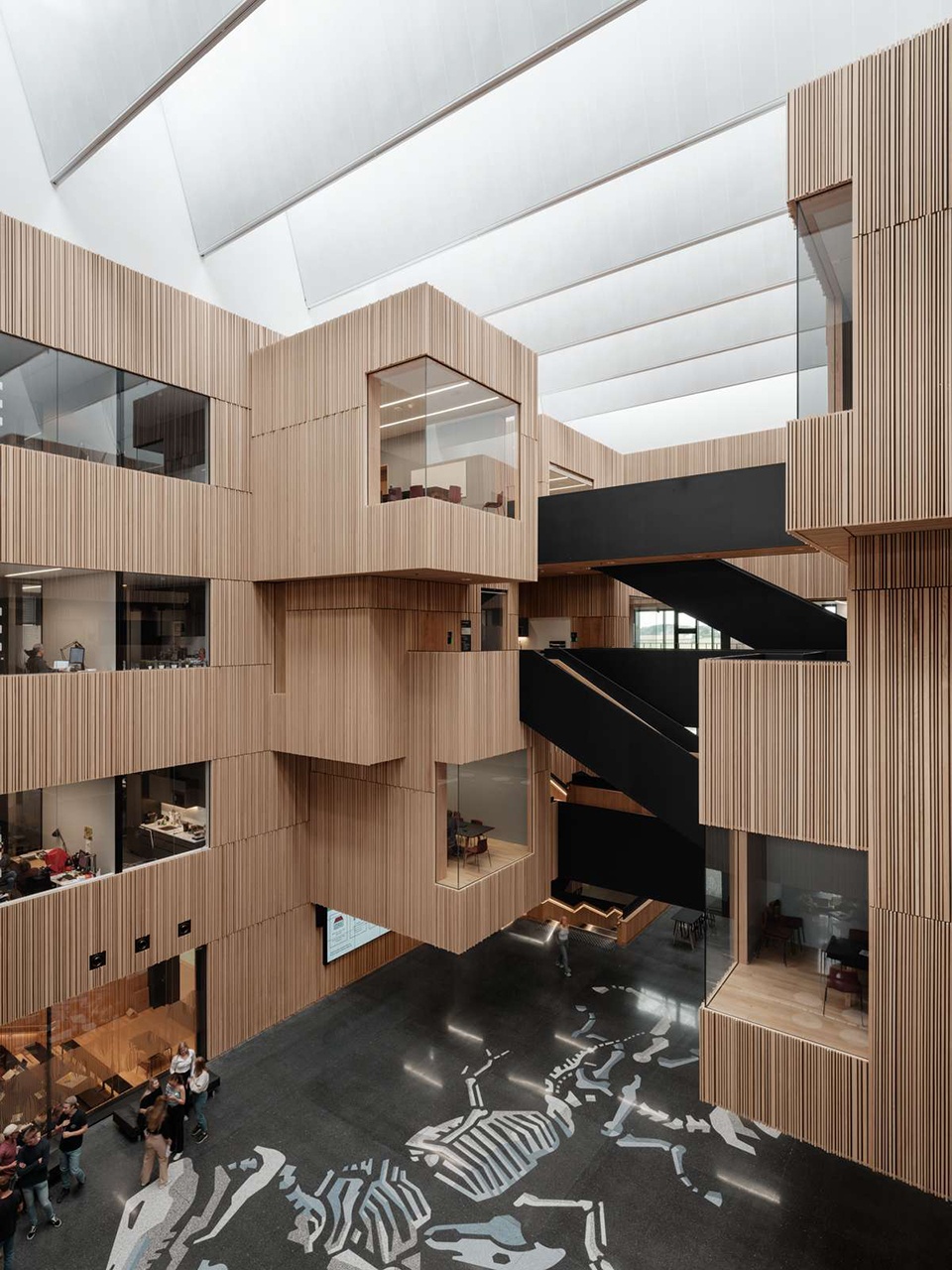 norwegian university of life sciences veterinary building by henning larsen
