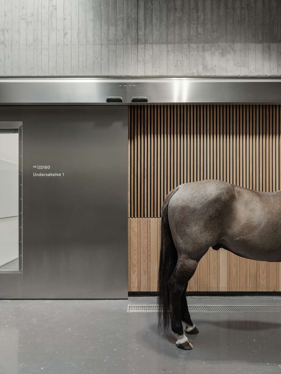 norwegian university of life sciences veterinary building by henning larsen