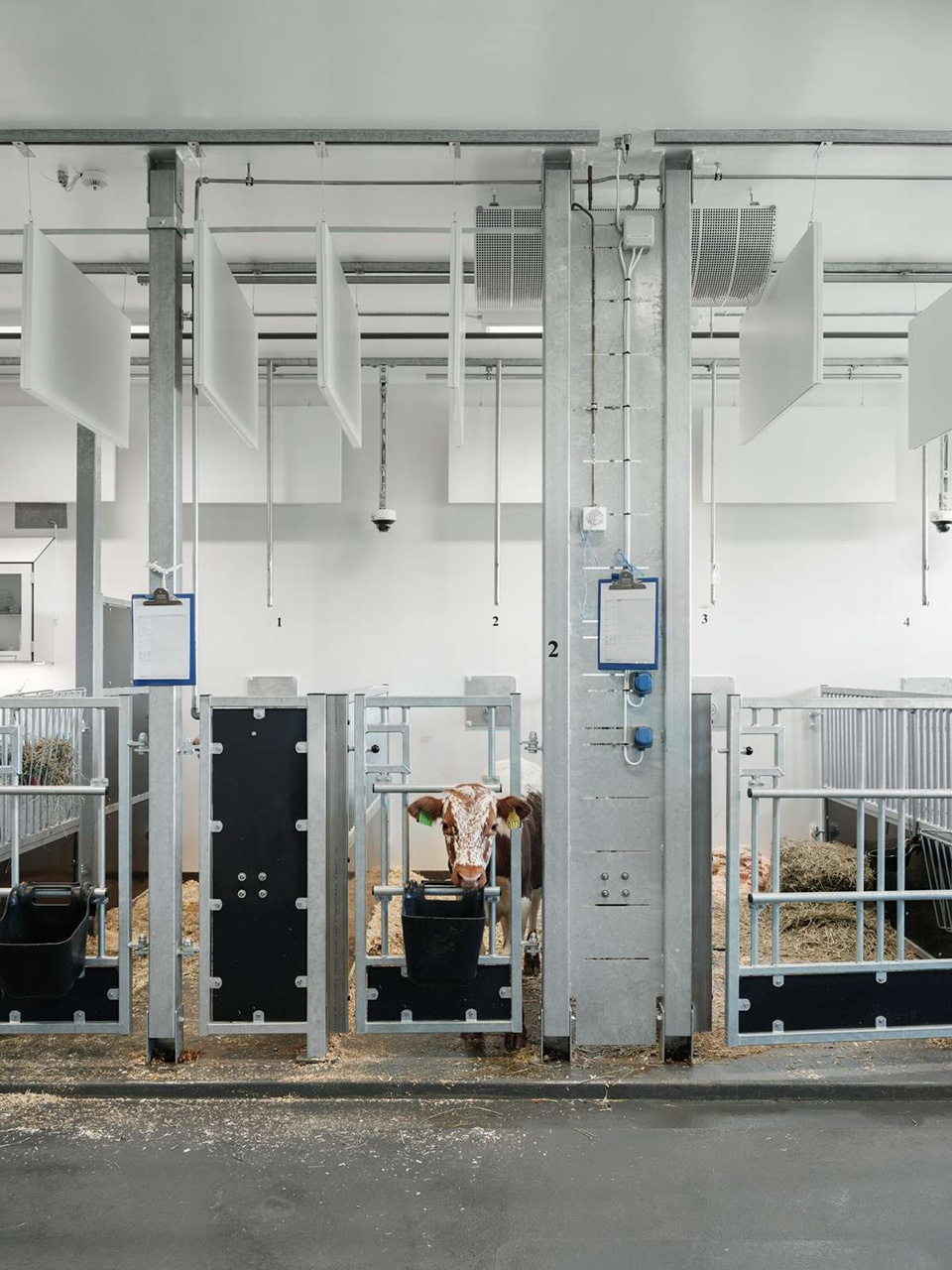 norwegian university of life sciences veterinary building by henning larsen
