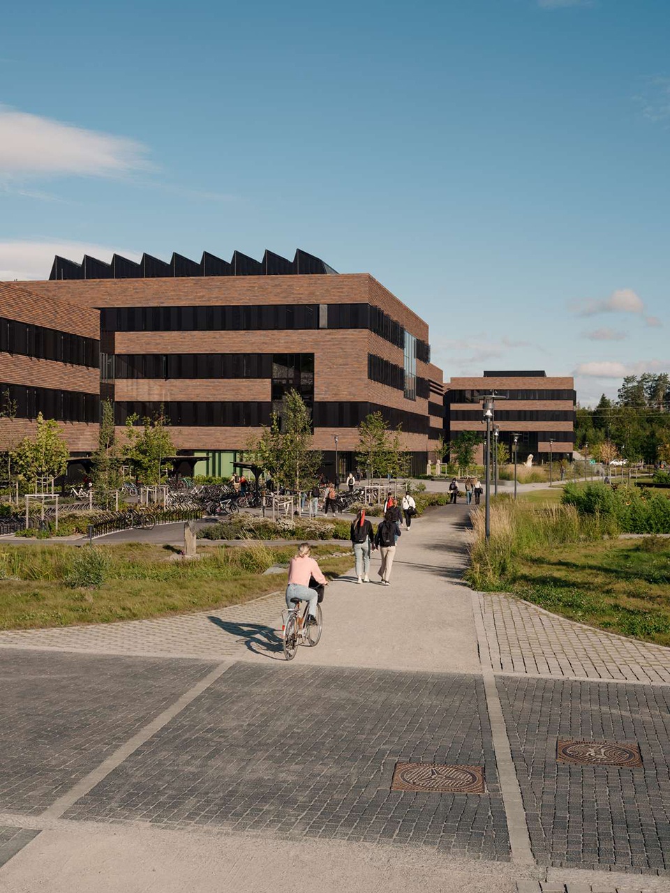 norwegian university of life sciences veterinary building by henning larsen