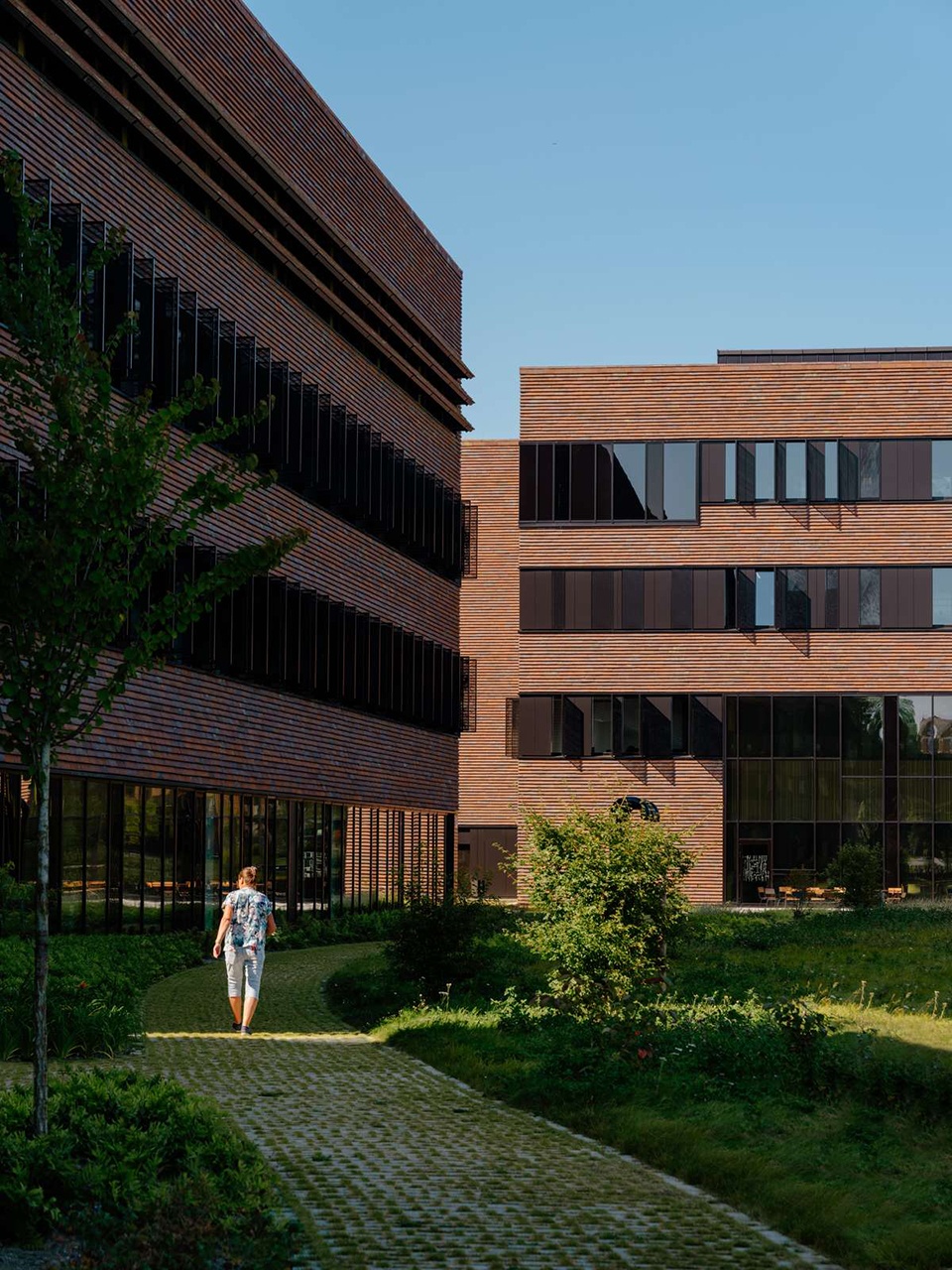 norwegian university of life sciences veterinary building by henning larsen