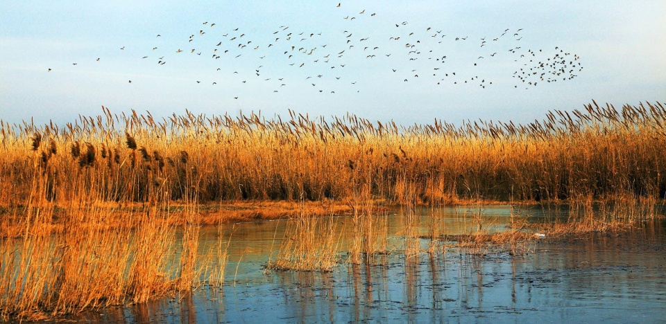 Weishan Wetland Park by aecom
