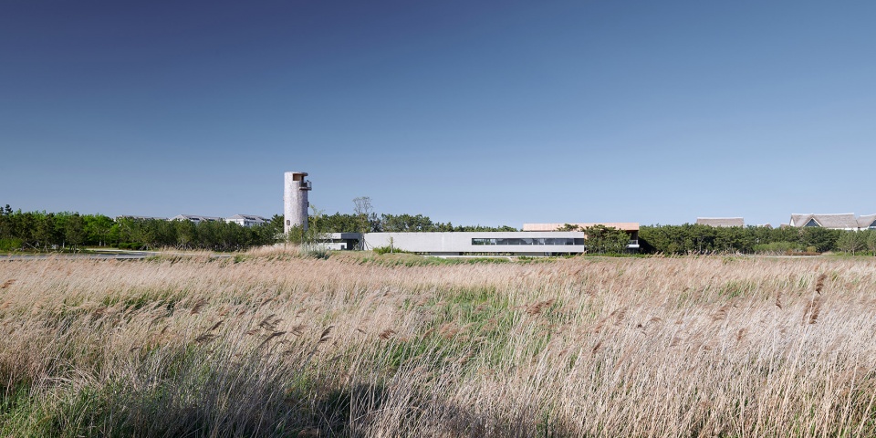 swan lake bridge house and viewing tower in shandong china by tao trace architecture office