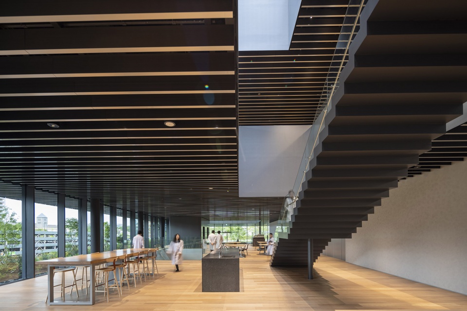 zenyaku kogyo rd center by nikken sekkei ltd