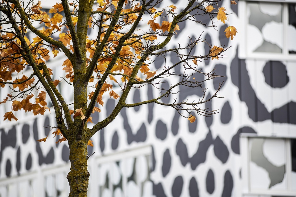 facade intervention of sw35 by j mayer h