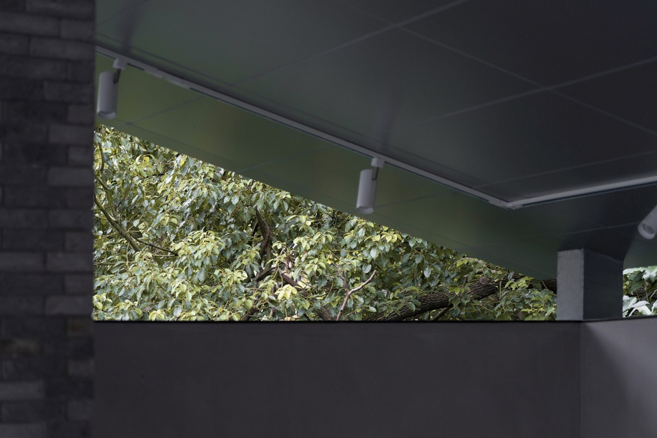 public health service facilities in jichang plot jiading district shanghai by mur mur lab