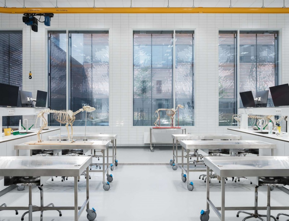norwegian university of life sciences veterinary building by henning larsen