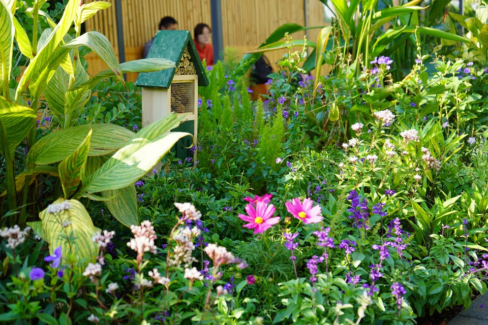 sungang choochoo garden shenzhen by urban planning design institute of shenzhen