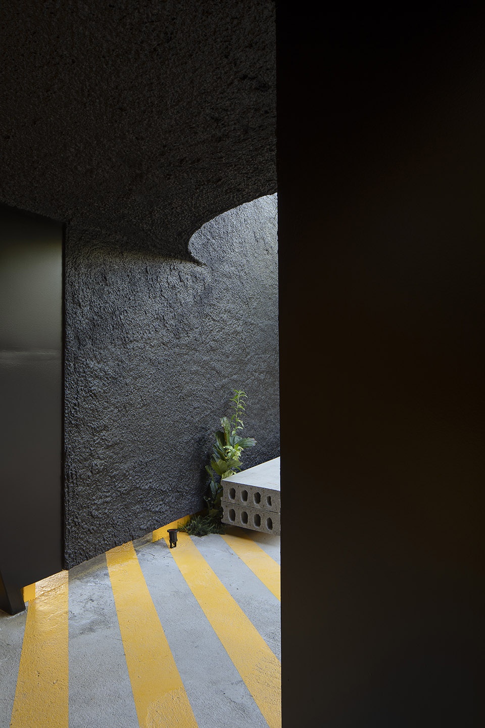 COPERA S GARDEN by TOMaS GARCiA PiRIZ