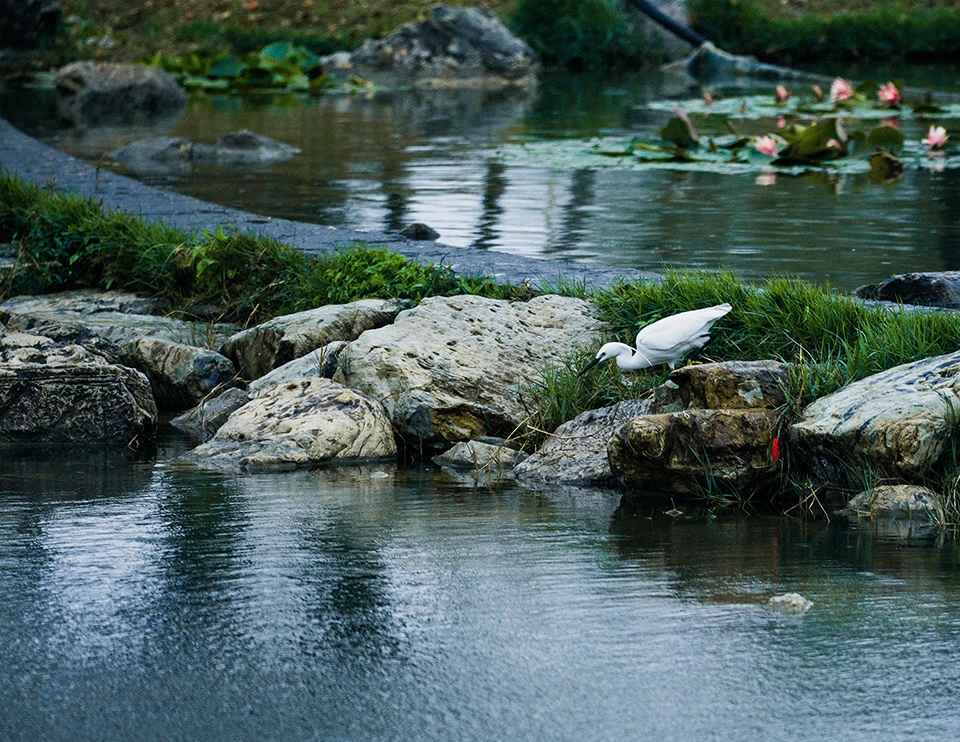 zhangzhou bihu lake eco park china by la design