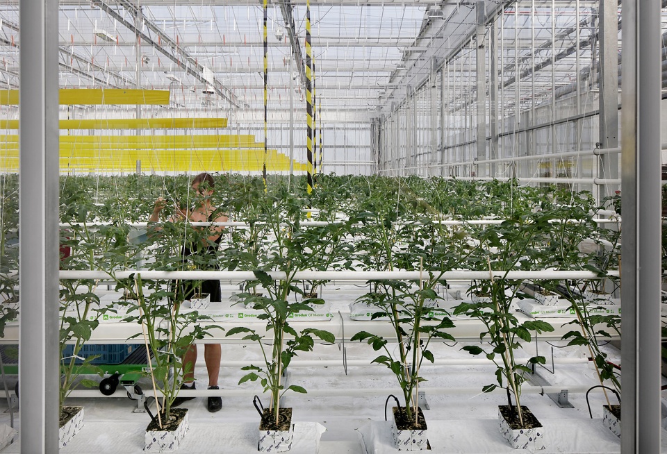 Rooftop Greenhouse Agrotopia van Bergen Kolpa Architects META architectuurbureau