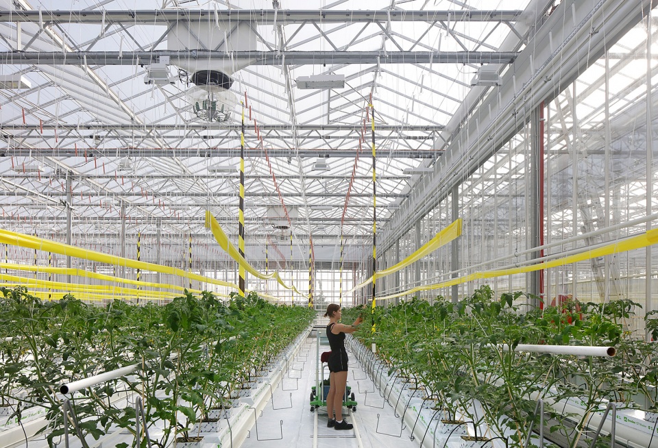 Rooftop Greenhouse Agrotopia van Bergen Kolpa Architects META architectuurbureau