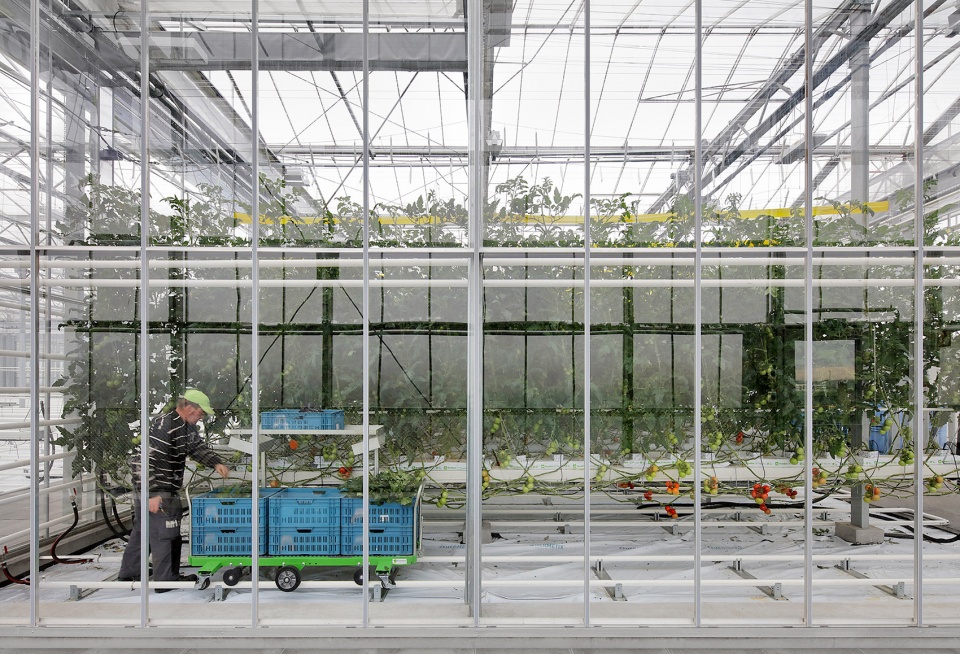 Rooftop Greenhouse Agrotopia van Bergen Kolpa Architects META architectuurbureau