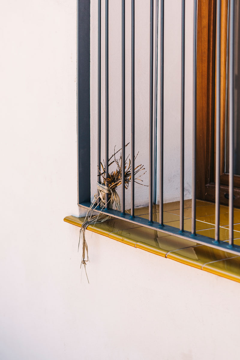casa en la murta by gradoli sanz arquitectes