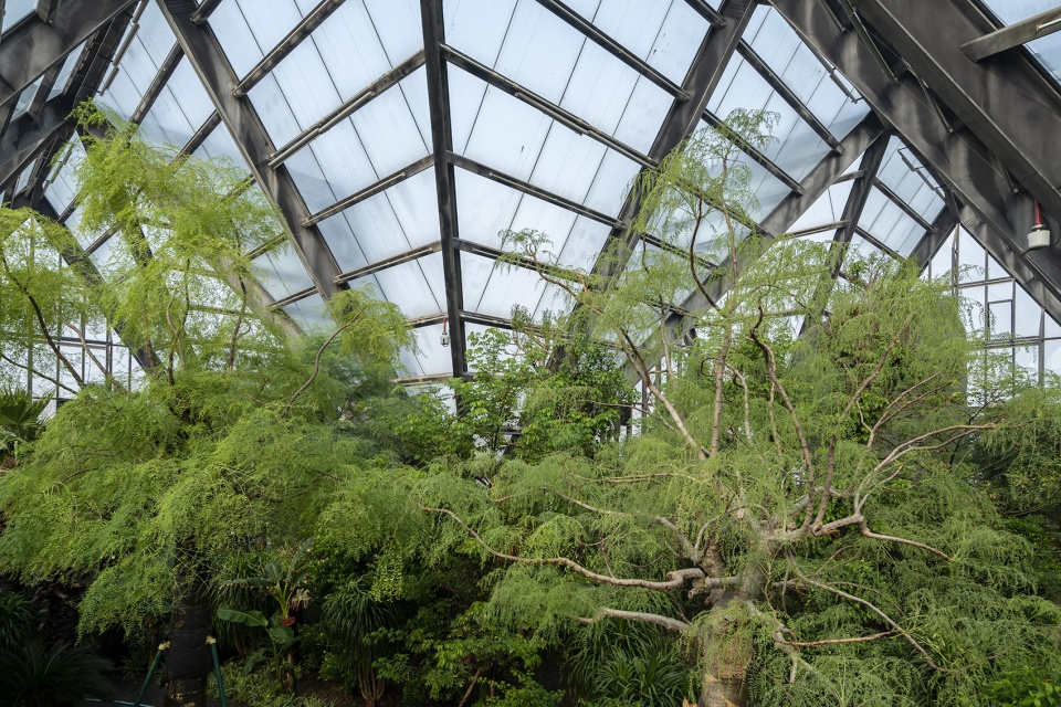Hengshui Botanical Garden Greenhouse Exhibition Hall Interval Architects