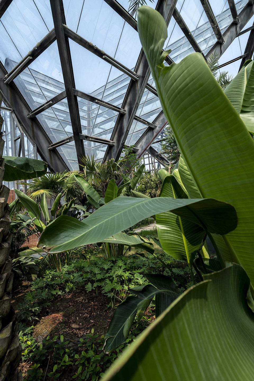 Hengshui Botanical Garden Greenhouse Exhibition Hall Interval Architects