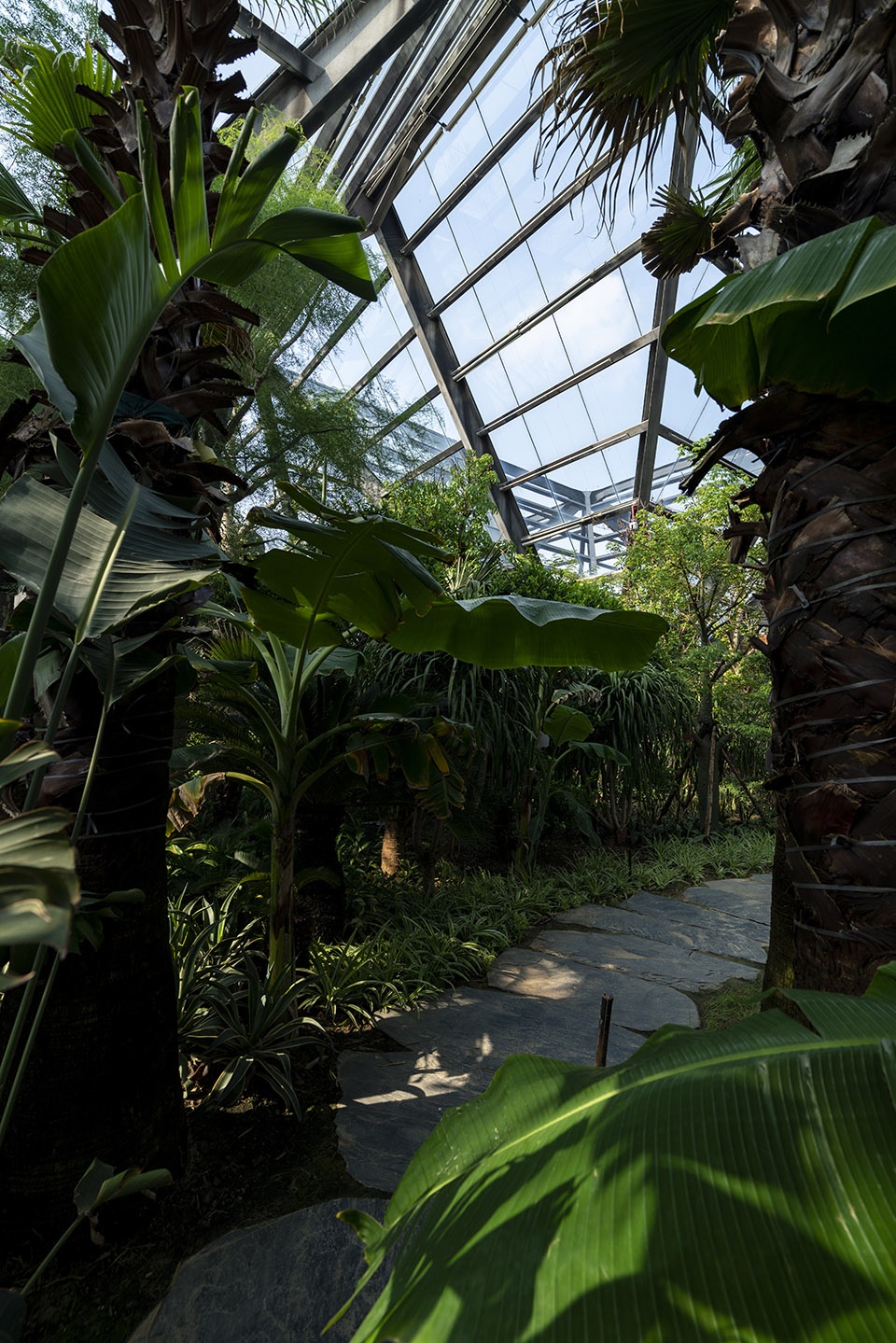 Hengshui Botanical Garden Greenhouse Exhibition Hall Interval Architects