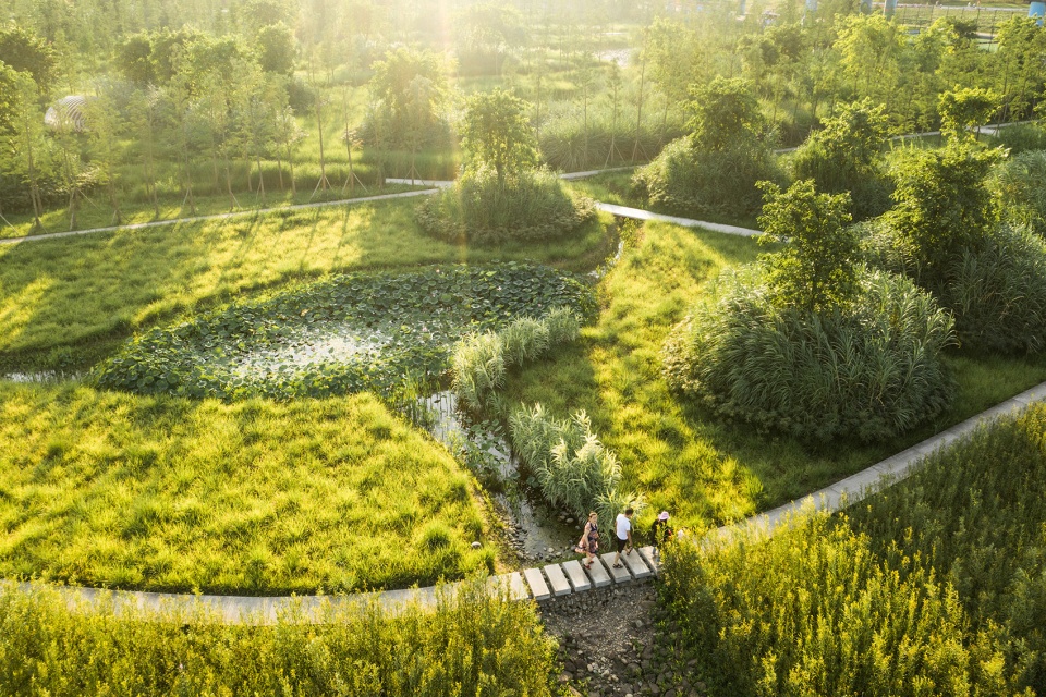Dafosi Wetland Park Turenscape