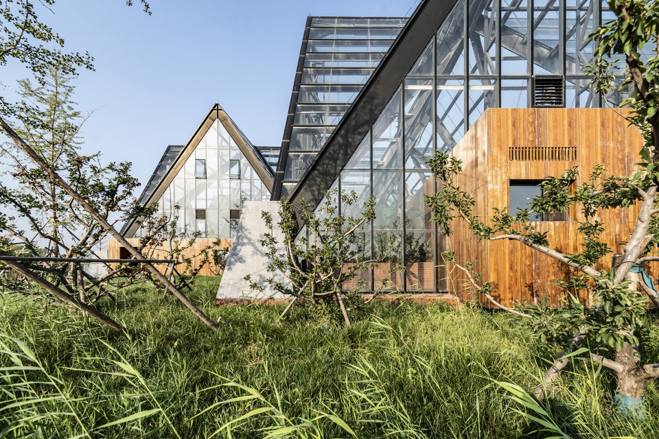 Hengshui Botanical Garden Greenhouse Exhibition Hall Interval Architects