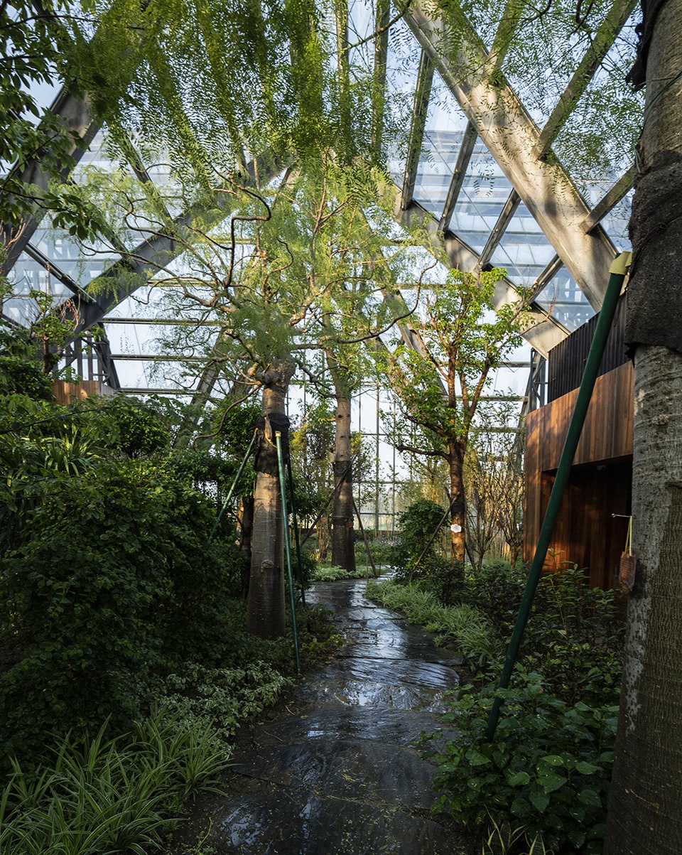 衡水植物园温室展览馆空格建筑