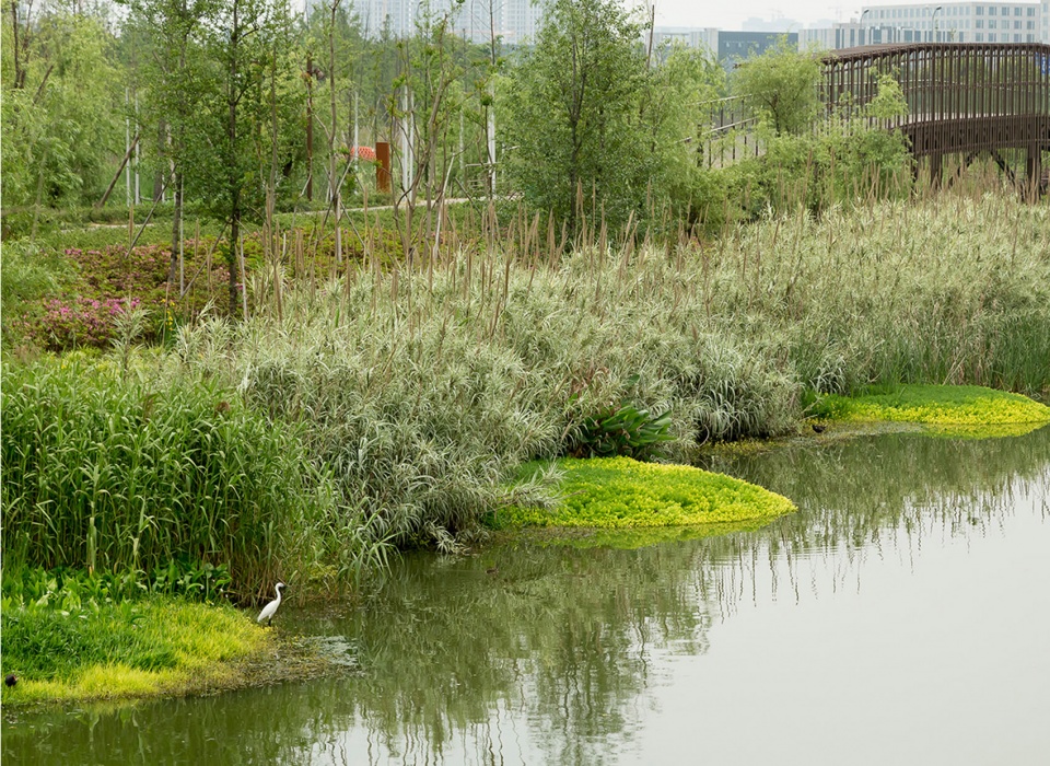 ASLA NingboEco 12