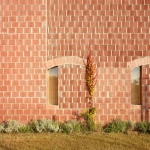 Imagine Montessori小学，西班牙 / Gradoli & Sanz Arquitectes