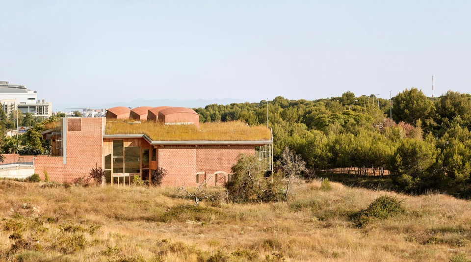 Imagine Montessori School Carmel Gradolií y Arturo Sanz