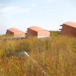 Imagine Montessori小学，西班牙 / Gradoli & Sanz Arquitectes