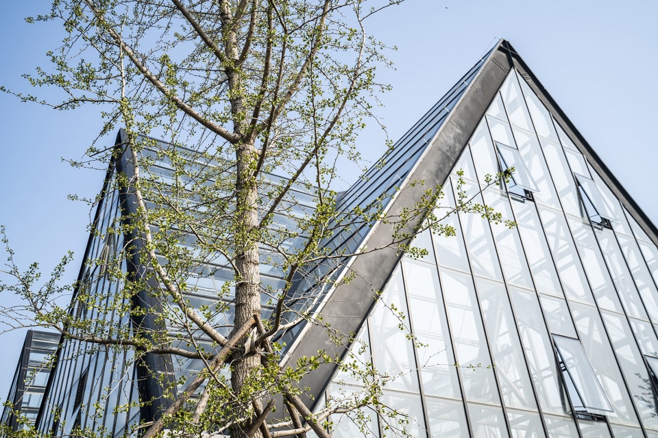 Hengshui Botanical Garden Greenhouse Exhibition Hall Interval Architects
