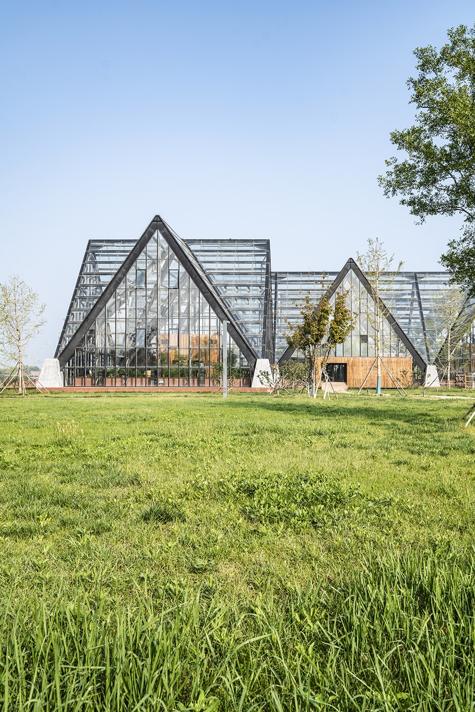 衡水植物园温室展览馆空格建筑