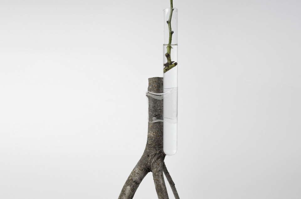 vase series by chen shujie studio