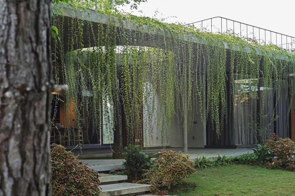 Villa LP nghia architect