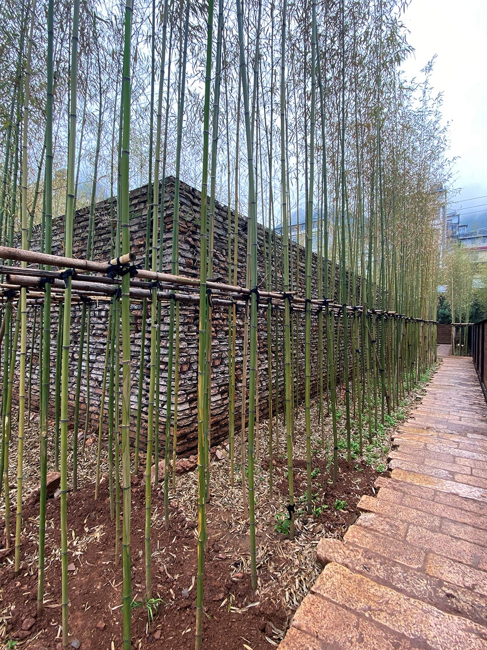 Renovation of Yunnan Dazhixianxian BB Ruan Xiaozhou Design