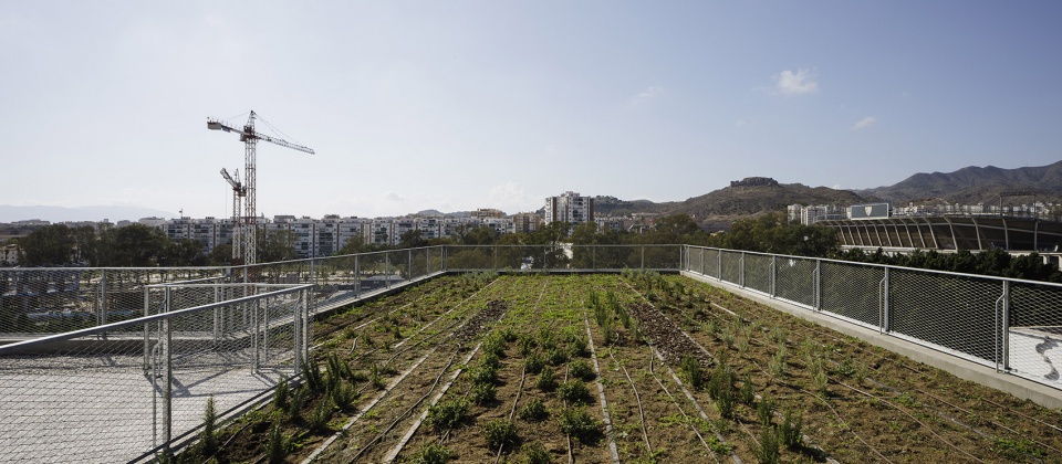 Provincial Office of the Red Cross in Malaga endosdedos architecture