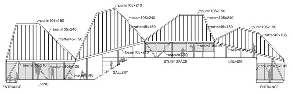 development plan