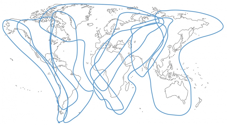migration world 01