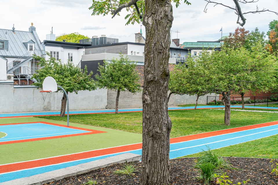 the ursuline school playground by evoq architecture