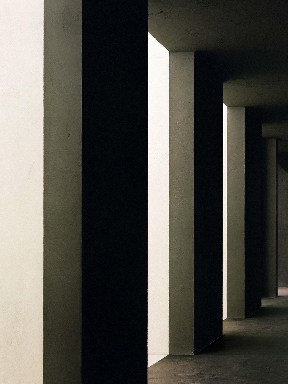 wild studio china by offhand practice